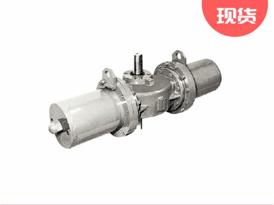 KOSO工装阀门6500RA旋转杆运动型气缸执行器图3