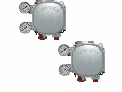 SVI1000G/IM/PR美国梅索尼兰Masoneilan图2