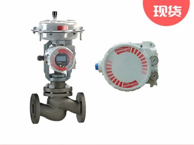 美国FLOWSERVE福斯定位器420-14-W1R-10图3