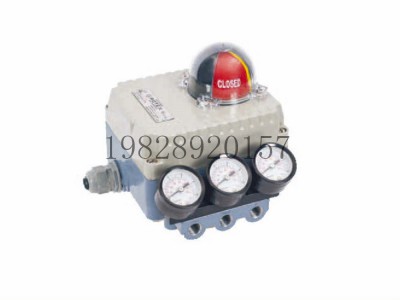 印度ROTEX阀门定位器RTX1000系列图3