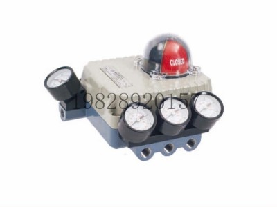 印度ROTEX阀门定位器RTX1200系列图5