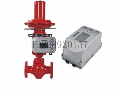 印度ROTEX阀门定位器RTX7系列图2