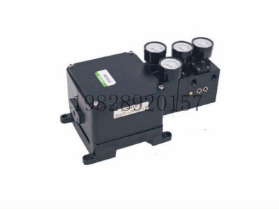 印度ROTEX阀门定位器RTX1300系列图2