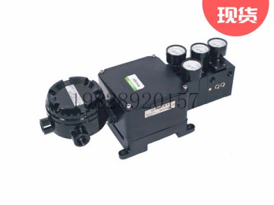 印度ROTEX阀门定位器RTX1300系列图3