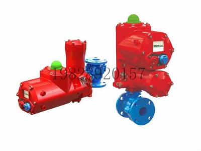 印度ROTEX罗特克斯EHF系列执行器执行机构图5