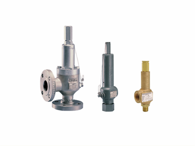 安德森格林伍德60/80系列直接弹簧式泄压阀图5