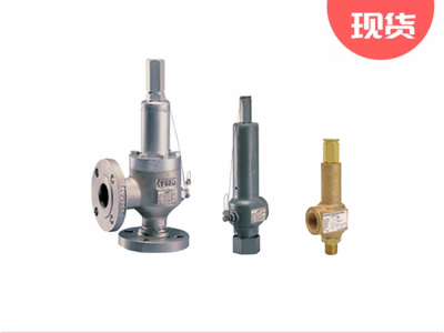 安德森格林伍德60/80系列直接弹簧式泄压阀图3