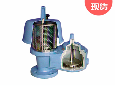 安德森格林伍德121系列压力和真空安全阀图3