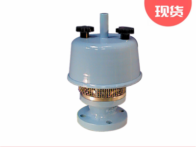 安德森格林伍德Whessoe 4130A压力和真空安全阀图3