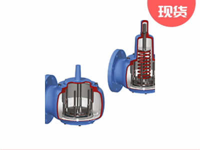 安德森格林伍德4410型侧入式大气真空安全阀图3