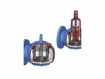 安德森格林伍德4410型侧入式大气真空安全阀图2