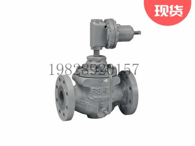 艾默生fisher费希尔63EG-98HM调压器图3