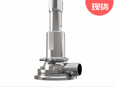 Leser莱斯洁净型484系列安全阀图3
