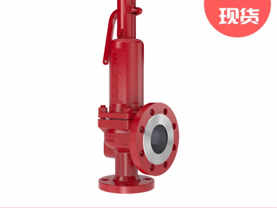 Leser莱斯S&R 424系列安全阀图3