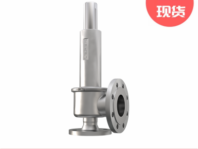 Leser莱斯高性能型444 DIN安全阀图3