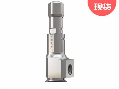 Leser莱斯洁净型481系列安全阀图3