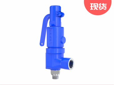 Leser莱斯S&R 460系列安全阀图3