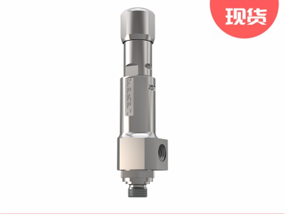 Leser莱斯紧凑型439系列安全阀图3