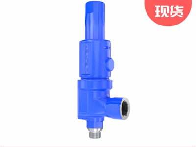 Leser莱斯紧凑型459系列安全阀图3