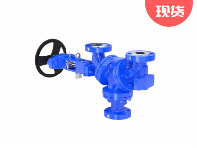 Leser莱斯330紧凑型安全阀配套产品图3