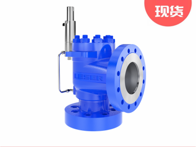 Leser莱斯高效型-先导式安全阀图3