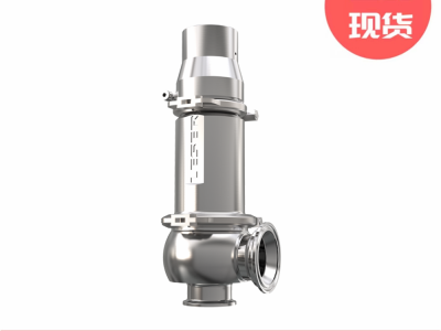 Leser莱斯洁净型安全阀图3