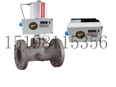 福斯Flowserve定位器PMVD20|D22|D30系图5