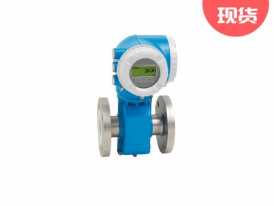 E+H电磁流量计ProlinePromag P 300图3