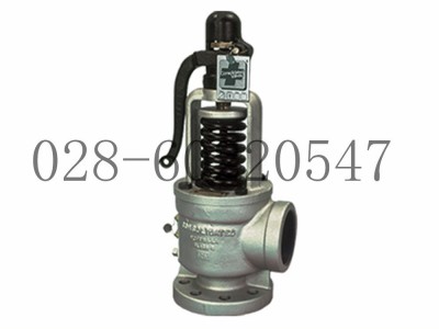 DRESSER康索里德Consolidated1511安全阀图5