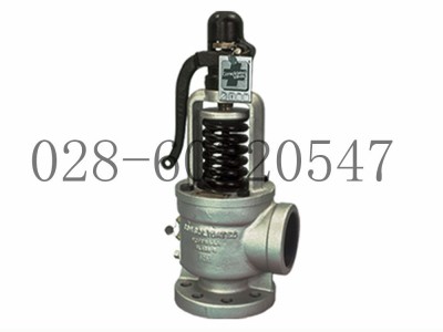 DRESSER康索里德Consolidated1511安全阀图2