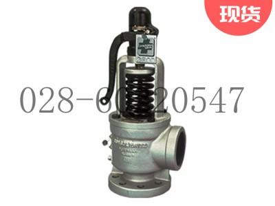 DRESSER康索里德Consolidated1511安全阀图3