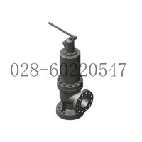 DRESSER康索里德31700型核工业安全阀