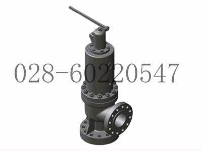 DRESSER康索里德31700型核工业安全阀图2