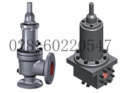 DRESSER康索里德1900型安全泄压阀图3