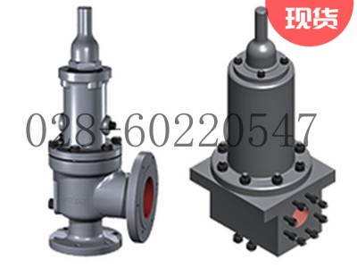 DRESSER康索里德1900型安全泄压阀图2