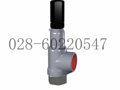 DRESSER德莱赛19000安全泄压阀图5