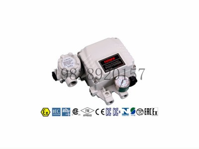 韩国永泰YT-1000L电气阀门YTC定位器直行程型图2