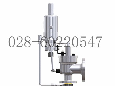 DRESSER德莱赛3900/3900TM安全泄压阀图4