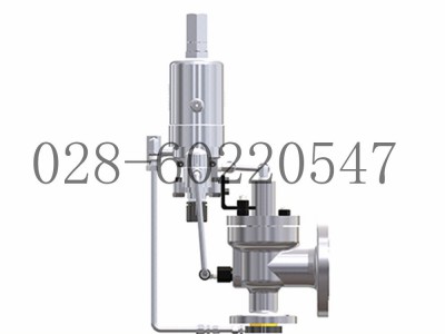 DRESSER德莱赛3900/3900TM安全泄压阀图5