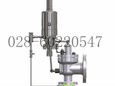 DRESSER德莱赛2900-40先导安全泄压阀图2