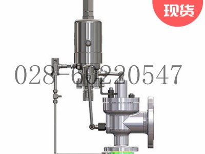 DRESSER德莱赛2900-40先导安全泄压阀图3