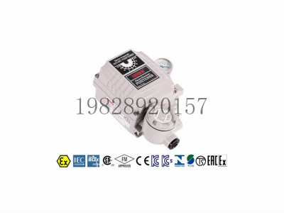 永泰YT-1000R电气阀门YTC定位器角行程型图5