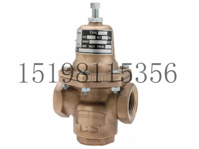 艾默生CASH调压器E-55系列大容量压力调节阀图2