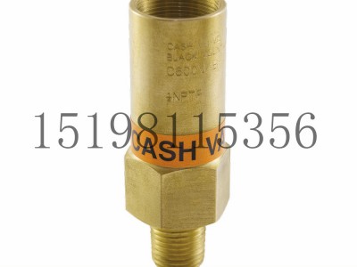 艾默生CASH调压器型号C600工业低温泄压阀图2