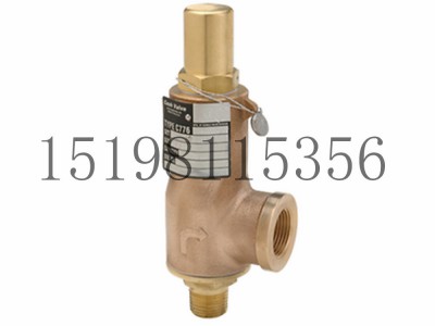 艾默生CASH调压器C-776型安全阀空气气体低温图4