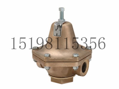 CASH-B减压阀单座弹簧加载直动式隔膜式减压阀图4