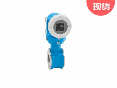 E+H电磁流量计Proline Promag D 10图3
