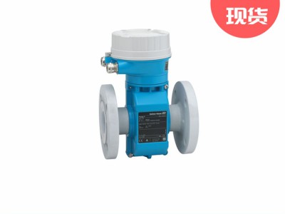 E+H电磁流量计Proline Promag P 100图3