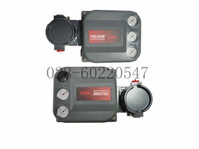 DVC6200不锈钢M20低温19B5401X412图5