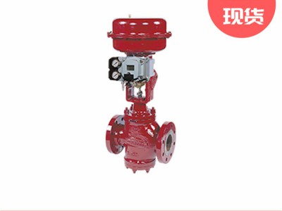 梅索尼兰10000系列双座控制阀MASONEILAN图3